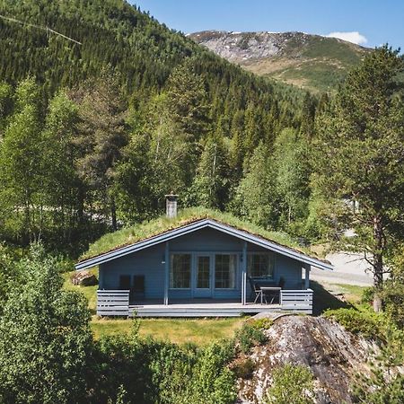 Jolsterlia Hyttetun Årdal Exterior foto
