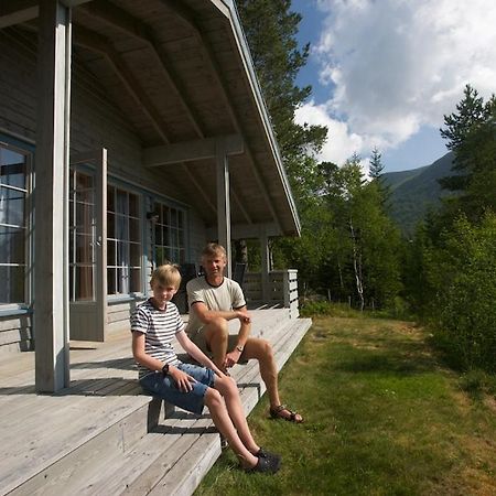 Jolsterlia Hyttetun Årdal Exterior foto