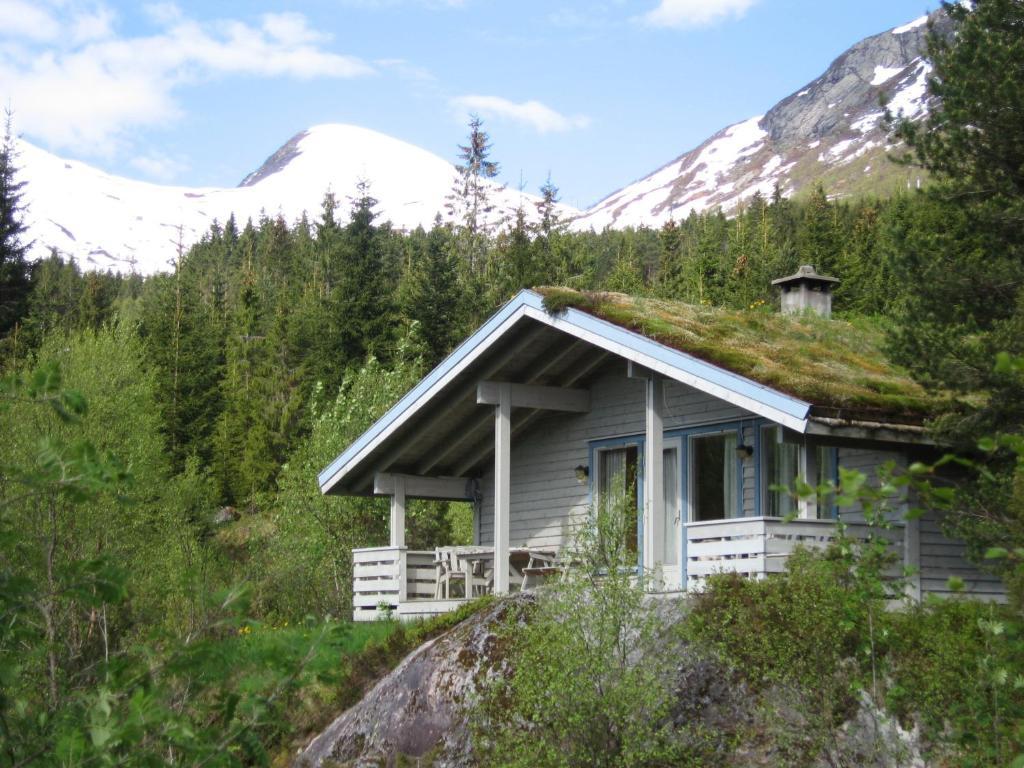 Jolsterlia Hyttetun Årdal Habitación foto