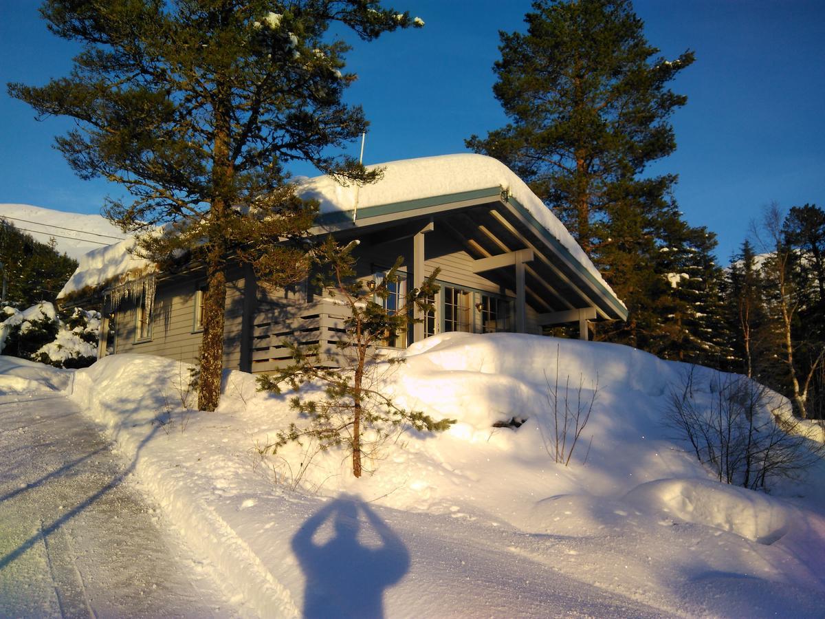 Jolsterlia Hyttetun Årdal Exterior foto