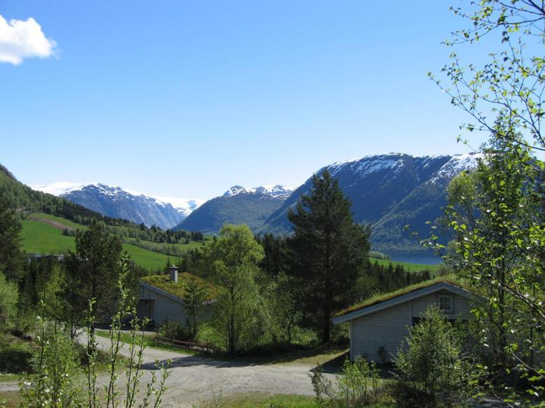 Jolsterlia Hyttetun Årdal Exterior foto