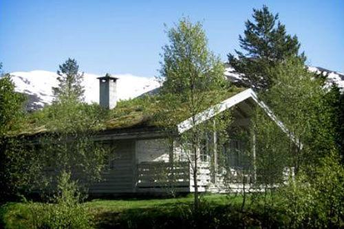 Jolsterlia Hyttetun Årdal Exterior foto
